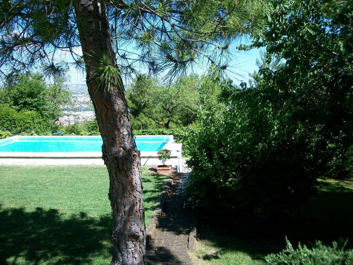 B&B Luna Blu Монтесильвано Экстерьер фото